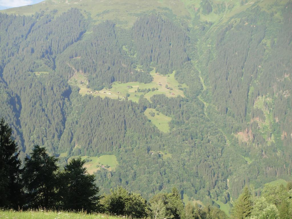 Maisäß Lifinarblick Villa Schruns Rum bild