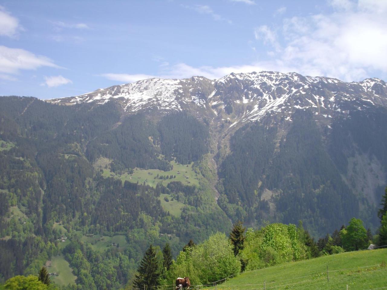 Maisäß Lifinarblick Villa Schruns Exteriör bild