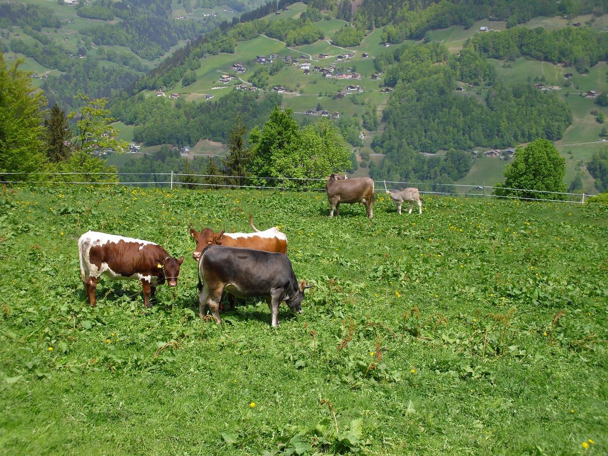 Maisäß Lifinarblick Villa Schruns Exteriör bild